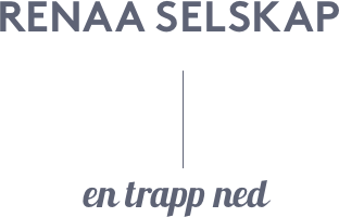 Selskap